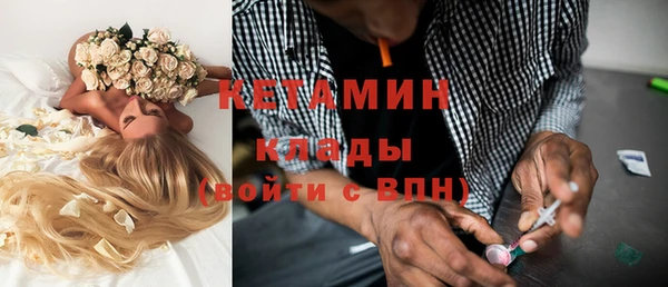 трава Няндома