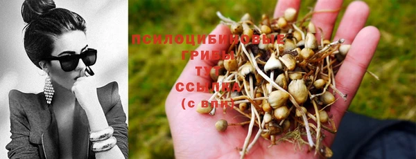 mix Алексин