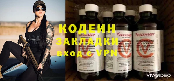трава Няндома